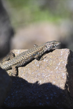 IMG00838